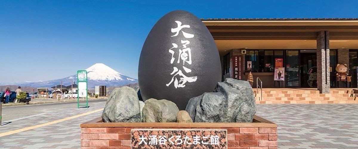 東京超值團 迪士尼樂園、淺草明治神宮、大涌谷御殿場、富士忍野八海六日