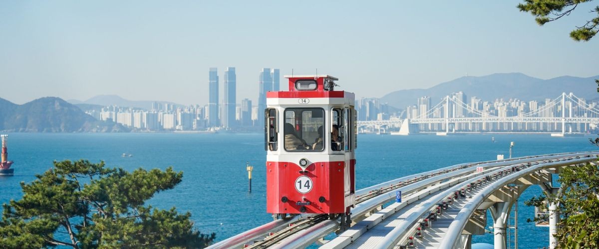 《不進人蔘+保肝+土產》【威風超極愛釜邱】樂天世界、渠道滑車、加耶主題公園、塗鴉秀、紅酒隧道、海岸觀光列車、長腳蟹&烤肉吃到飽