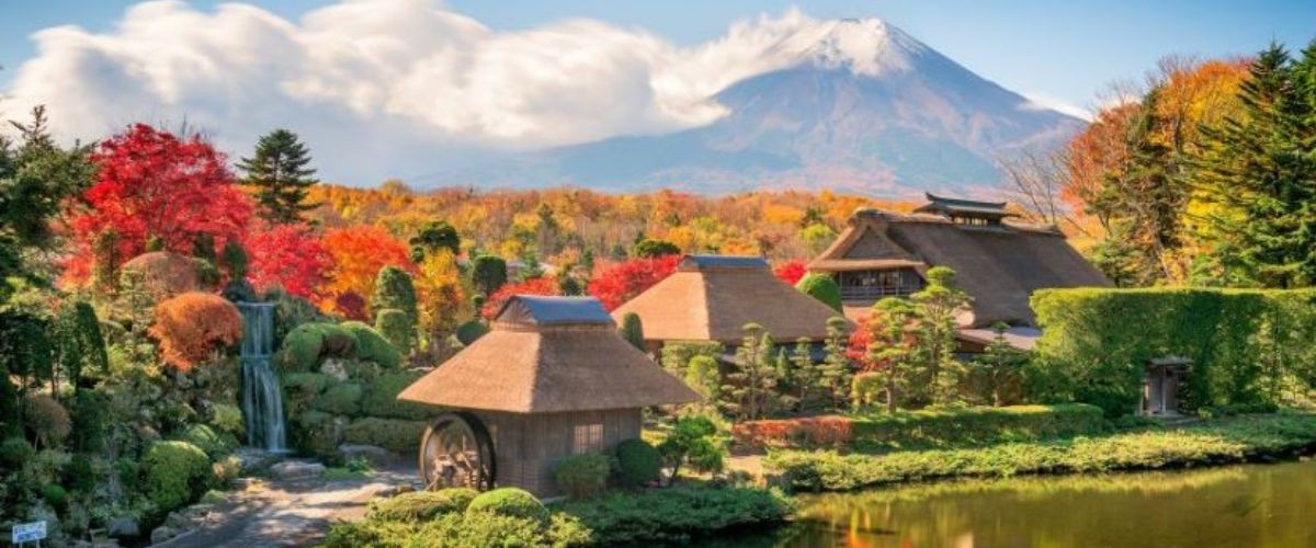 東京超值團 迪士尼樂園、淺草明治神宮、大涌谷御殿場、富士忍野八海六日