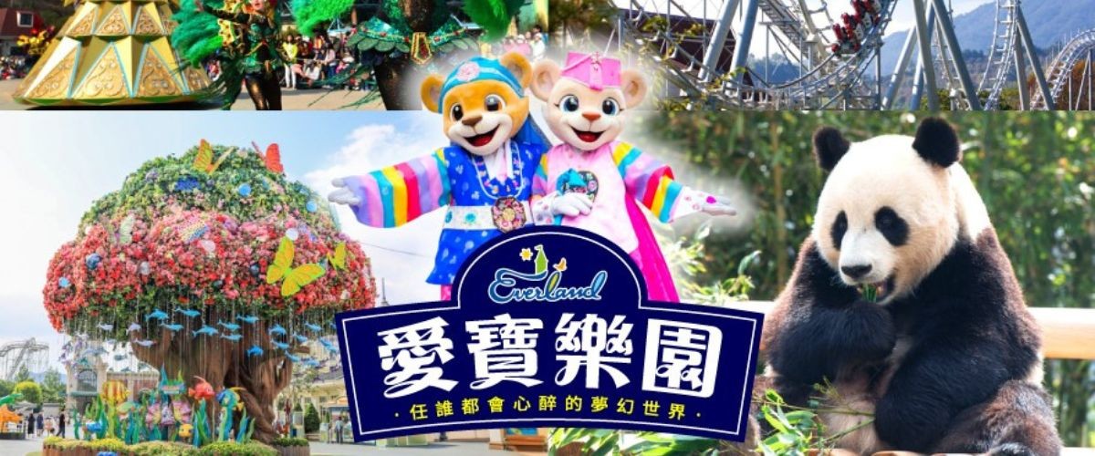 《不進人蔘+保肝+土產》【清易玩韓趣】小法國村、繽紛愛寶、COEX水族館&美人魚秀、拉麵DIY體驗館